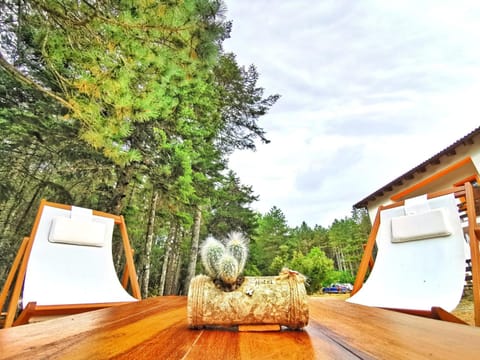 Garden, Lounge or bar, Decorative detail, Garden view