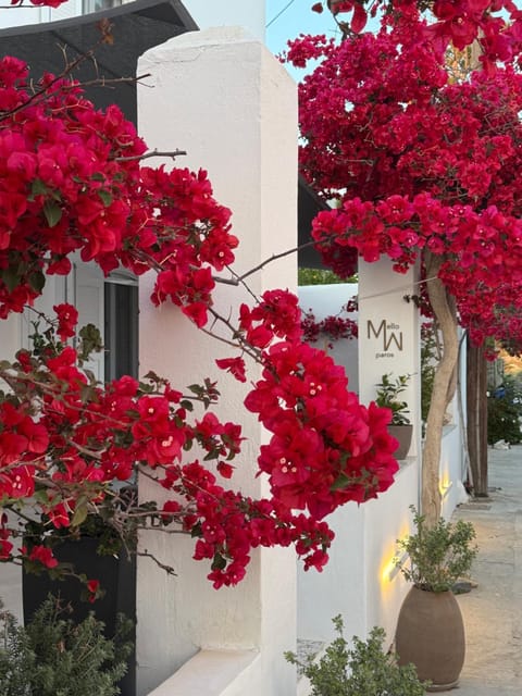 Mellow Paros Hotel in Paros