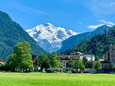 Eiger, Jungfrau, luxury garden apartment Apartment in Grindelwald