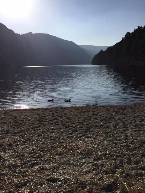 Riversdale House room only accommodation, A98KD85 Bed and Breakfast in Wicklow, Co. Wicklow, Ireland