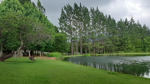 Lake view