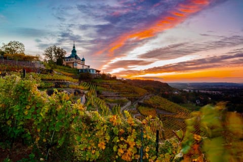 Natural landscape, Hiking, Sunrise