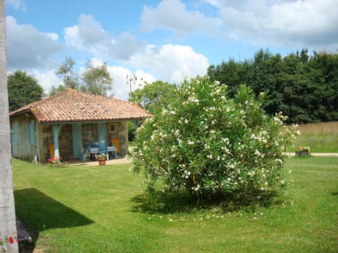 Natural landscape