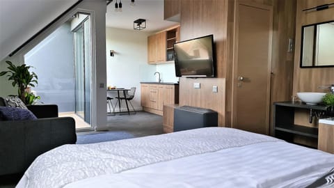 Bed, TV and multimedia, Kitchen or kitchenette