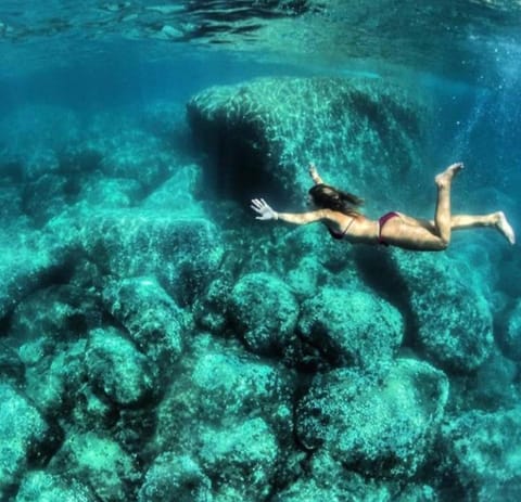 Sea & Culture - 5 Terre La Spezia Apartment in La Spezia