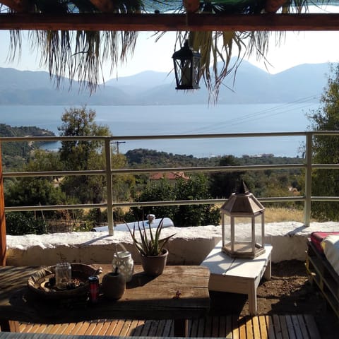 Restaurant/places to eat, Evening entertainment, Sea view, Entertainment