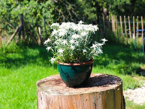 Other, Decorative detail