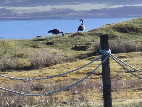 Balmoral Skye Bed and Breakfast in Scotland