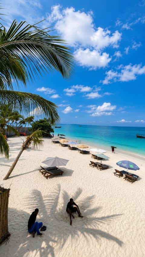 Restaurant/places to eat, Day, Natural landscape, Beach, Sea view, sunbed