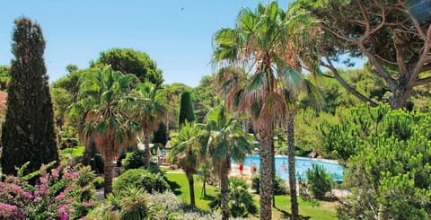 Garden, Garden view, Pool view, Swimming pool