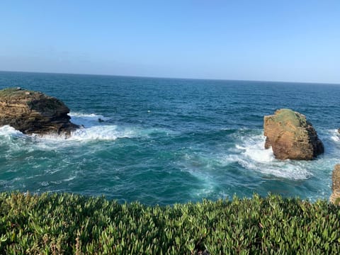 Natural landscape