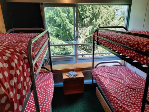 Vetrate sul bosco Apartment in Province of Brescia