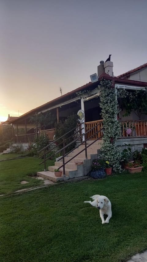 Ivonnis Garden 120m from Dikella Beach Denize & BBQ House in Evros, Greece