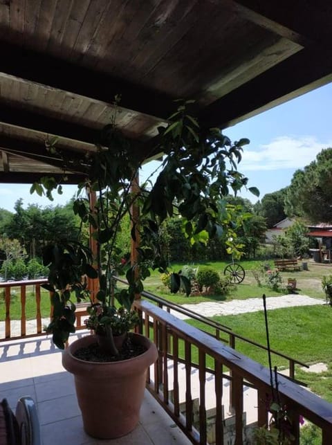 Balcony/Terrace, Garden view
