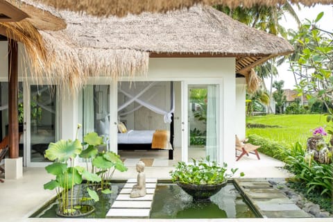 Property building, Garden view