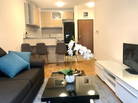 Apartman Mina Apartment in Budva
