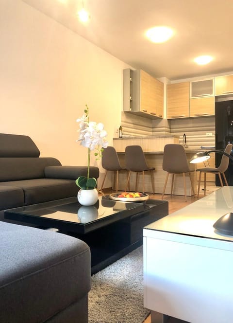 Apartman Mina Apartment in Budva