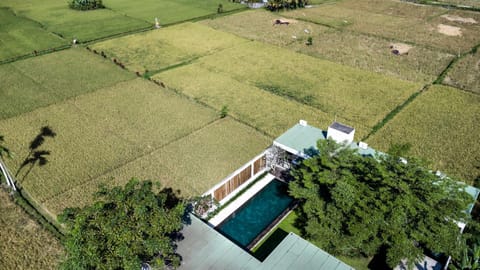 Natural landscape, Bird's eye view, Garden, Garden view, Pool view, Swimming pool
