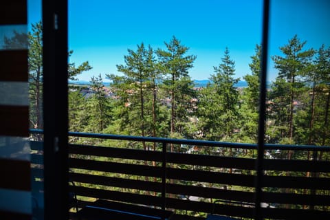 Apartment Center Valley in Vila Pekovic Green Apartment in Zlatibor