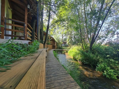 Natural landscape, River view