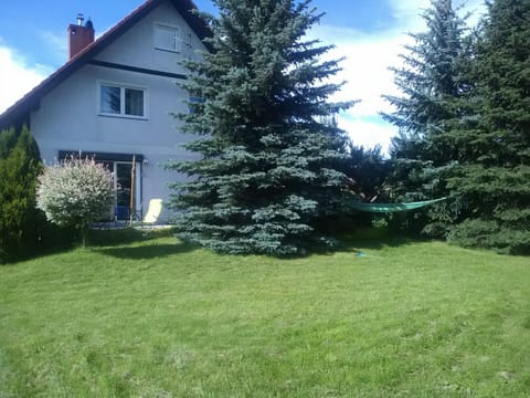Property building, Garden, Balcony/Terrace