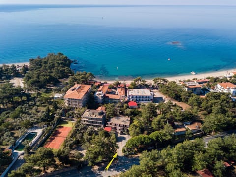 Neighbourhood, Bird's eye view
