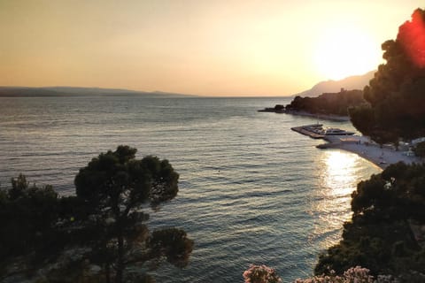 Beach, Sea view, Sunset