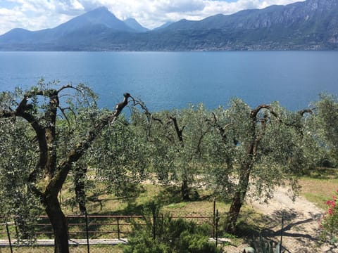 La Pianta Apartment in Brenzone sul Garda