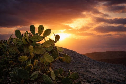 Property building, Natural landscape, Mountain view, Location, Sunrise