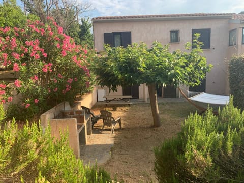 Patio, Garden