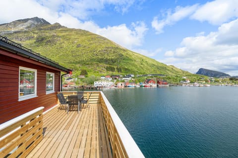 Napp kystfiske rorbu/leilighet Apartment in Lofoten