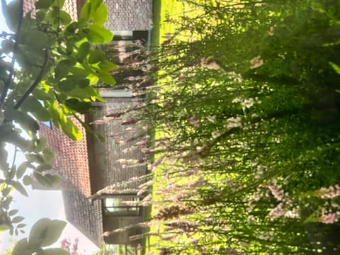 Bellefleur House in Flanders