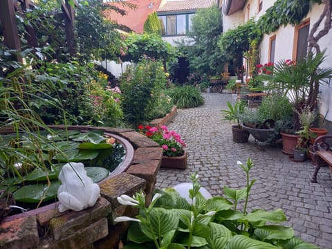 Property building, Garden