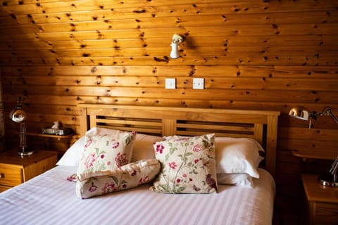 Half Door Cottage House in Doolin