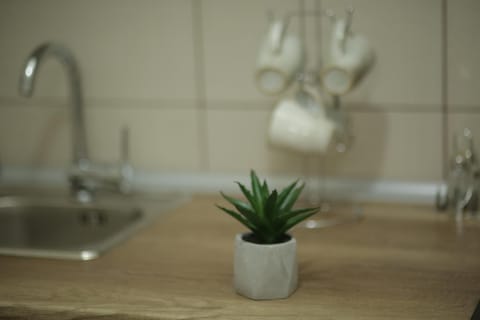 Exact Apartments Apartment in Serbia