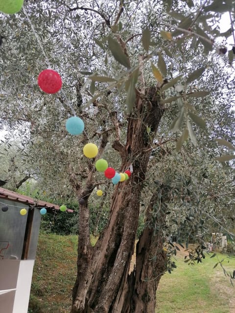 Casina Versilia Apartment in Pietrasanta