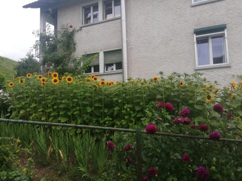 Billenberghof Farm Stay in St. Gallen