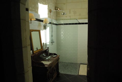 Château de Veuil Bed and Breakfast in Centre-Val de Loire