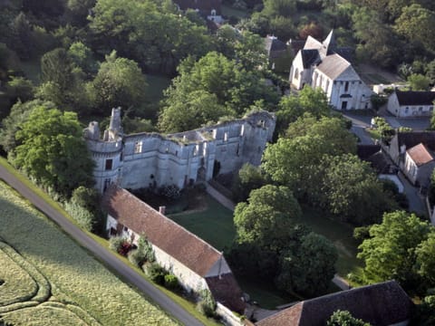 Château de Veuil Bed and Breakfast in Centre-Val de Loire