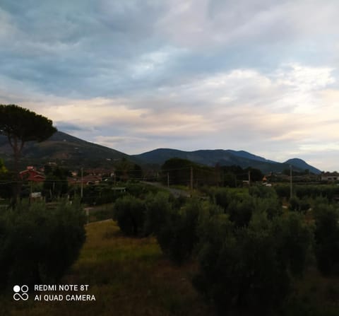 Mountain view, Street view