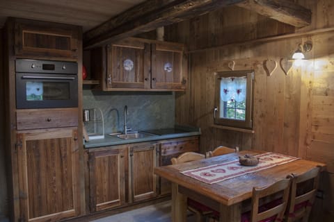 Kitchen or kitchenette, Dining area, oven, stove