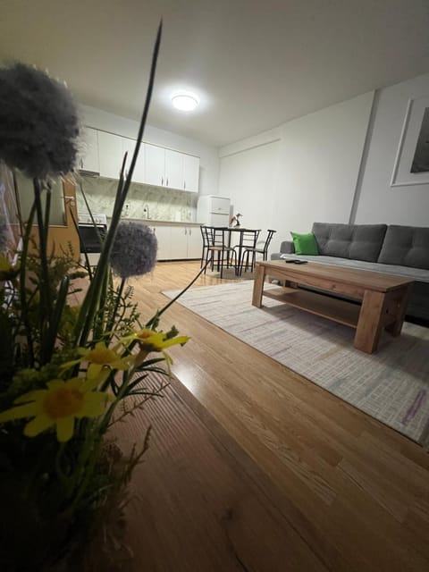 Prishtina Apartments Apartment in Serbia