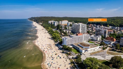 Bird's eye view, Location