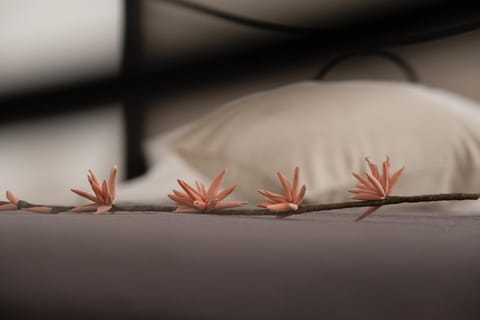 Città Di Castello Rooms Bed and Breakfast in Citta di Castello