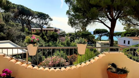 Balcony/Terrace, Sea view