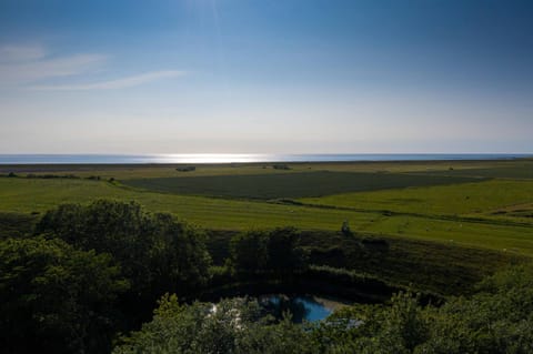 Property building, Bird's eye view