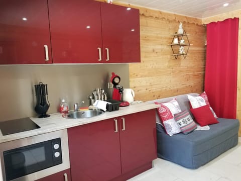 Studio cosi proximité Auron Apartment in Saint-Étienne-de-Tinée