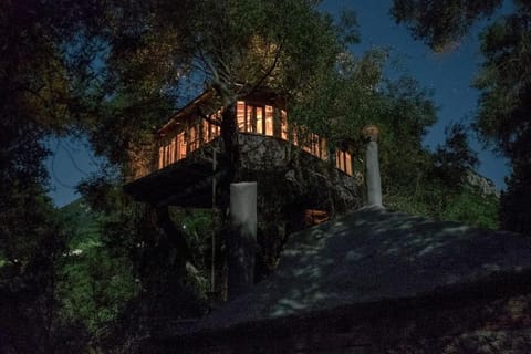 Property building, Night, Natural landscape