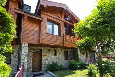Lake View House Villa in Blagoevgrad Province