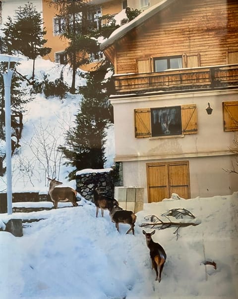 CHALET FAMILIAL AURON Chalet in Saint-Étienne-de-Tinée